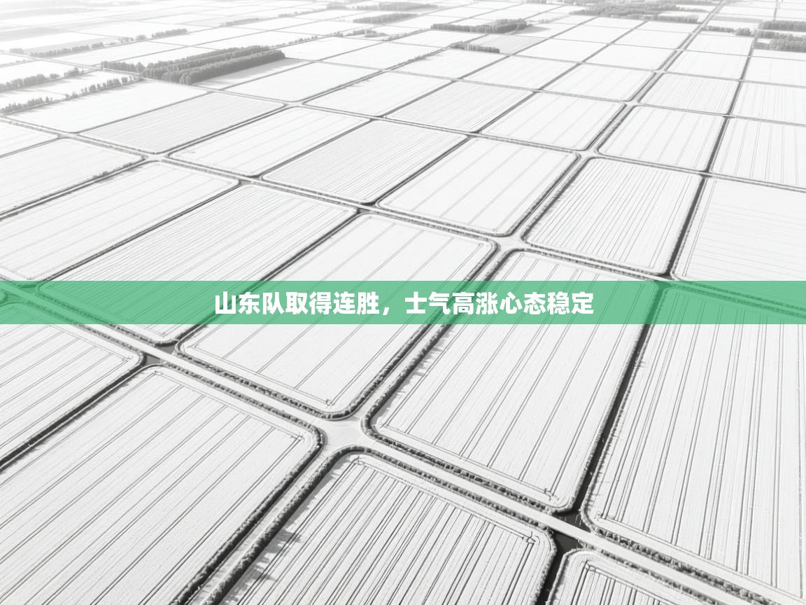 山东队取得连胜，士气高涨心态稳定  第2张