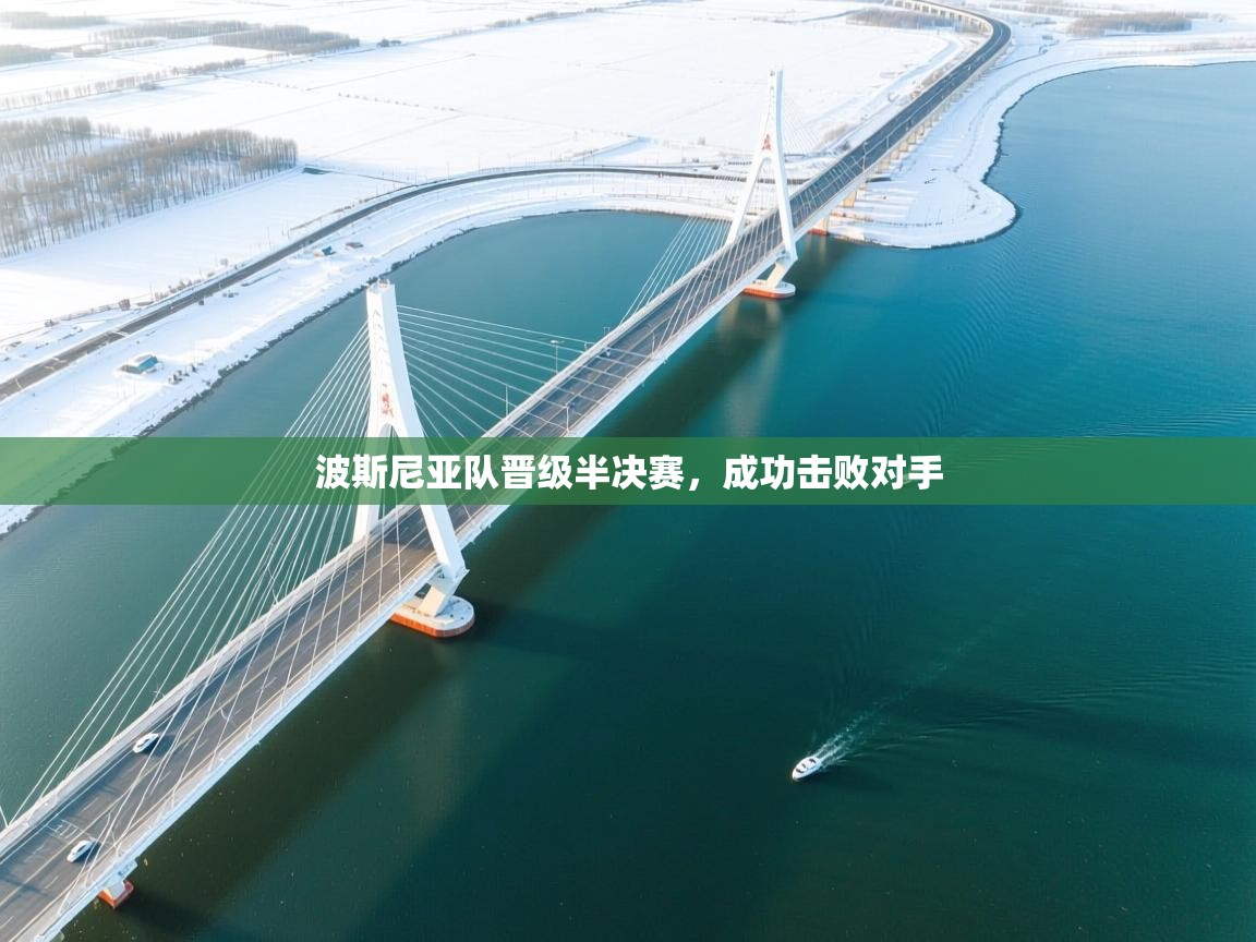 波斯尼亚队晋级半决赛，成功击败对手