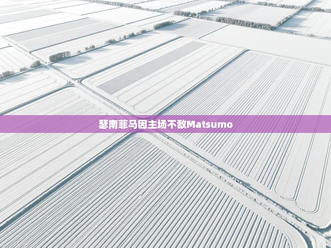 瑟南菲马因主场不敌Matsumo 第1张