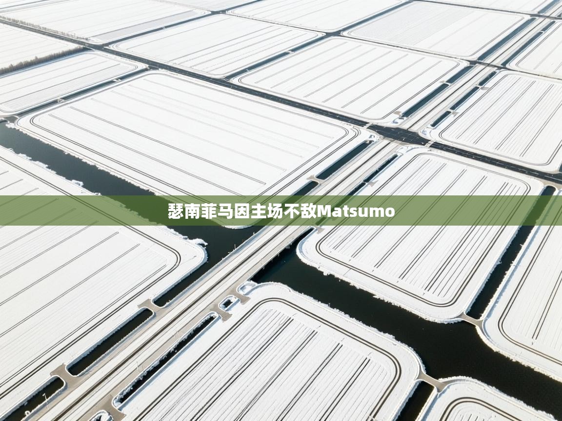 瑟南菲马因主场不敌Matsumo 第2张