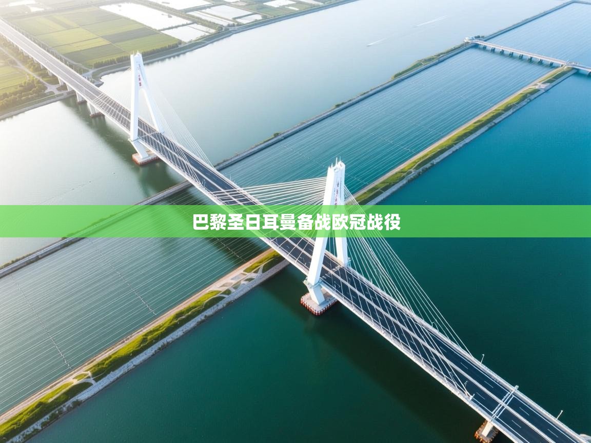 巴黎圣日耳曼备战欧冠战役